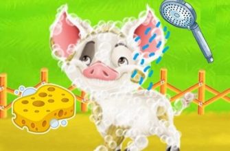 Baby Taylor Farm Tour Caring Animals