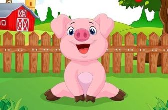 Cartoon Farm Hidden Stars